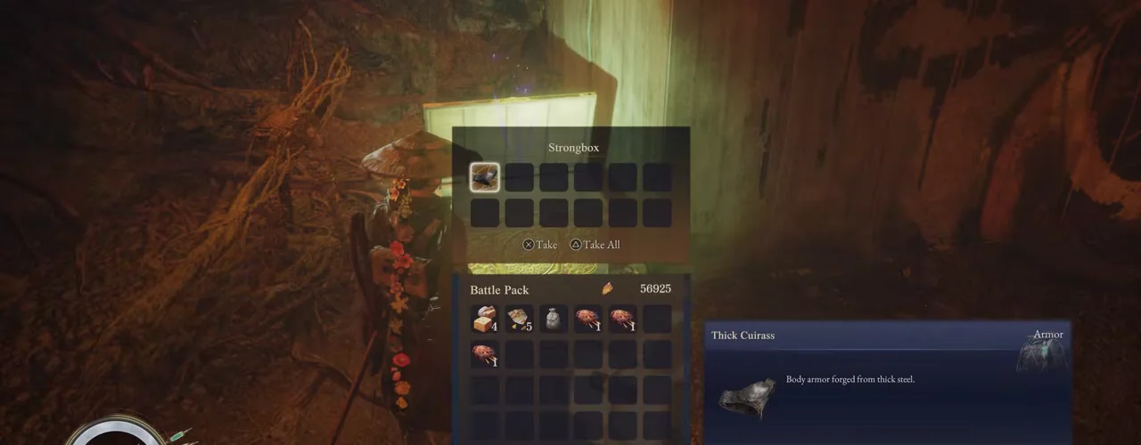 Thick Cuirassの場所｜Tunnel Ruins InteriorのStrongboxルートの結果を確認したゲーム画面
